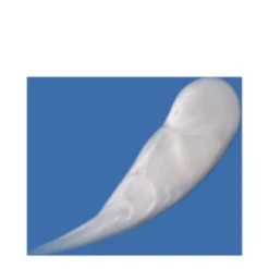 DCL Dermatologic Alpha Beta Gel Exfoliant 9 DCL Dermatologic Alpha Beta Gel Exfoliant -Care Products Alpha Beta Gel Exfoliant add3 37659 1555 general