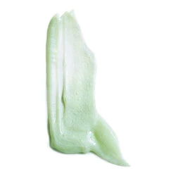 Leonor Greyl Creme Aux Fleurs Scalp Treatment 4 Leonor Greyl Creme Aux Fleurs Scalp Treatment - Image 2