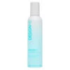 DESIGNME Quickie.ME Dry Shampoo - Foam -Care Products Quickie.ME Dry Shampoo Foam 57818 9036 detail